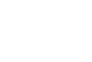Brew Bakes